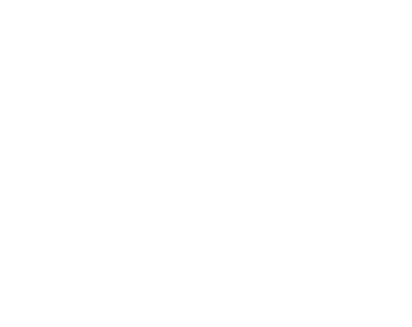 Wallysoft - php