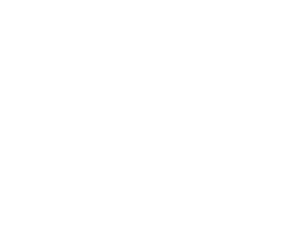 Wallysoft - php