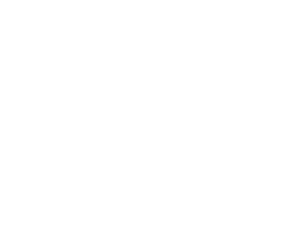 Wallysoft - php