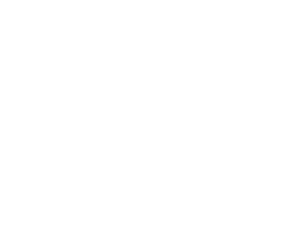 Wallysoft - php