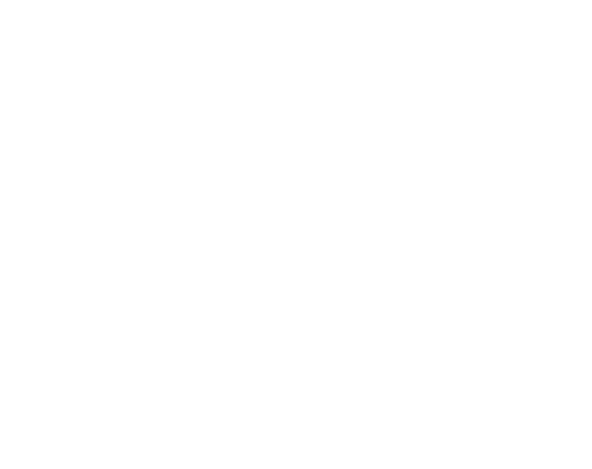 Wallysoft - php