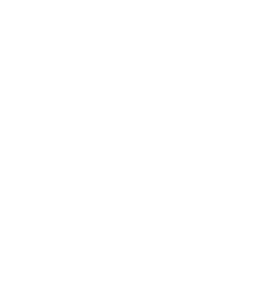 Wallysoft - php