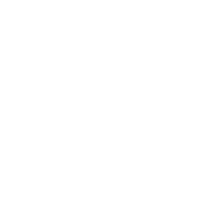 Wallysoft - php