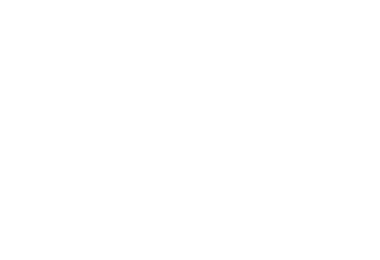 Wallysoft software gestionale - storia di successo Jøtul Italia SRL