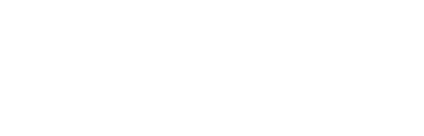 Wallysoft software gestionale - storia di successo Kimono SPA